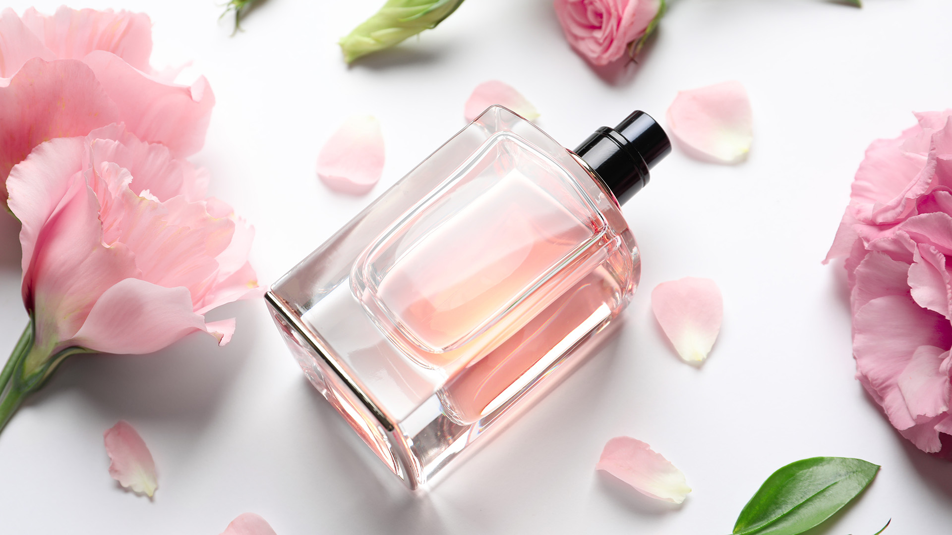 Guerlain Vendite 1 Guerlain Vendite -Guerlain Vendite My love for natural floral scents a perfect gift 1